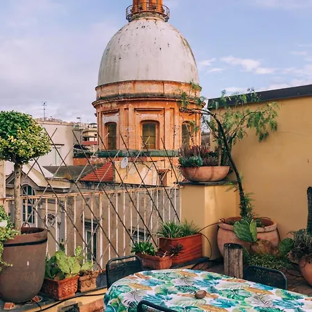 Magma - & Roof Naples